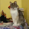 Отзыв от Роза Александрова